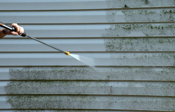 Best Driveway Pressure Washing  in North Springfield, VA